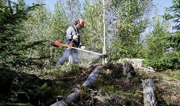 Husqvarna 545Fx Лесной кусторез: 9660156-01 по цене 153 865 ₽ Husqvarna 545Fx Лесной кусторез: Триммеры Товар УТ000023333 0