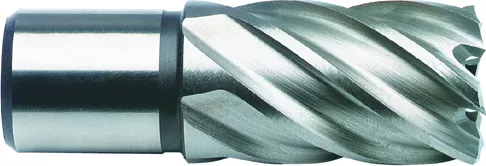 Сверло по металлу, корончатое с хв. Weldon 19 мм (3/4''), HSS-Co, 19,0*30/55 &quot;D.BOR&quot; – купить в , подробное изображение 
