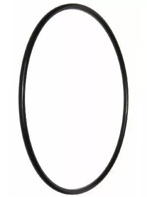 Ремкомплект 173,4*5,3 цилиндра отжимного NORDBERG S-000-175500-0 – анонс, характеристики, 