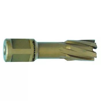 Твердосплавное корончатое сверло T.C.T. Karnasch Hard-Line L55 D130 Weldon 19/32 мм – купить в , подробное изображение 
