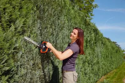 Gardena Ножницы электрические для живой изгороди EasyCut42: 08870-20.000.00 по цене 6 318 ₽ Gardena Ножницы электрические для живой изгороди EasyCut42: Кусторезы Товар УТ000023573 0