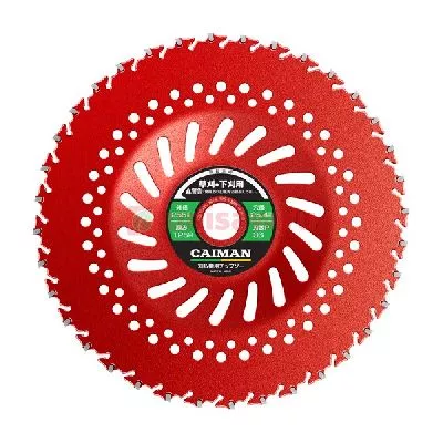 Расходные материалы : комплектация диск с функцией подрезки под корень maruyama red shark 230/25,4/36р Диск с функцией подрезки под корень Maruyama Red Shark 230/25,4/36Р; цена 9 135 ₽