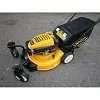 Газонокосилка бензиномоторная самоходная &quot;Cub Cadet&quot; CC 53 SPO W: Газонокосилки бензиновые Товар УТ000041203 0
