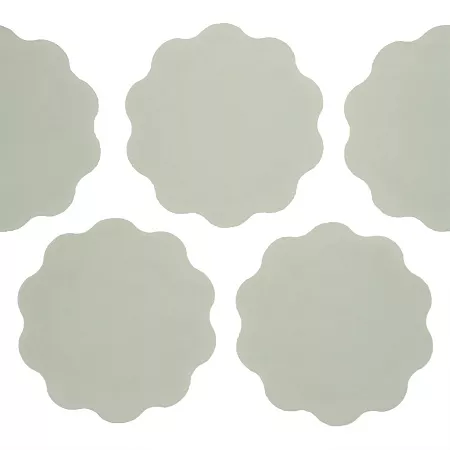 SCH-M35-2000-50 микроабразив 35 мм SCHTAER Daisy discs SCHTAER – анонс, характеристики, 