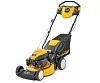 Газонокосилка бензиномоторная самоходная "Cub Cadet" CC 46 SPO V: 12ABTQKC603 по цене 25 790 ₽ Газонокосилка бензиномоторная самоходная "Cub Cadet" CC 46 SPO V: Газонокосилки бензиновые Товар УТ000041194 0