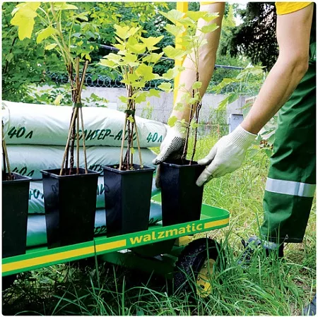 Платформенная тележка Walzmatic 1000GS; цена 31&nbsp;672 &#8381;