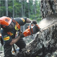 Husqvarna 560XP Бензопила; цена 121&nbsp;121 &#8381;
