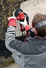 Детальное изображение : шлифмашина flex re 14-5 115,kit b-jet