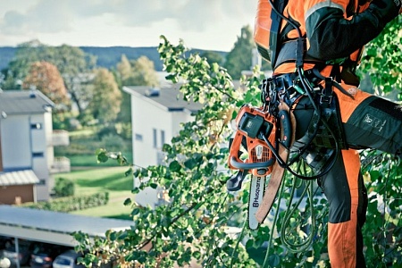 Husqvarna 436 Li-12&quot; Аккумуляторная цепная пила; цена 60&nbsp;549 &#8381;